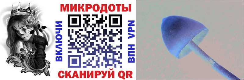 Галлюциногенные грибы мицелий  Калининск 